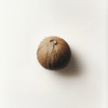 Hollow Coconut