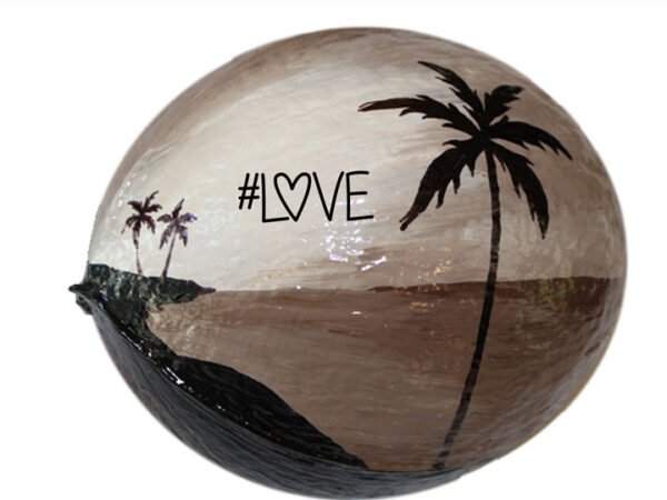 Hollow Coconut - Image 2