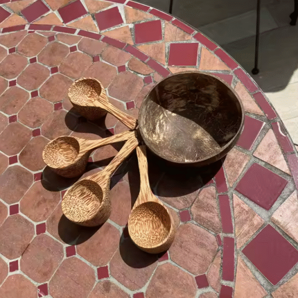 Coconut Soup Scoop