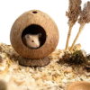 Coconut Hamster Hut