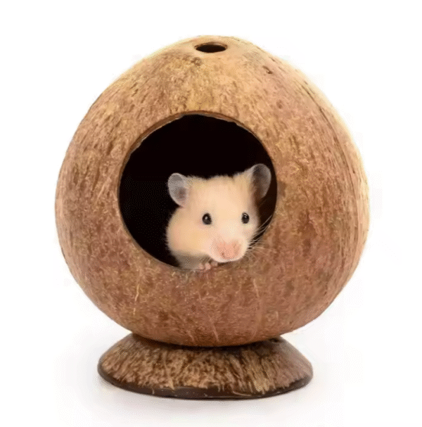 Coconut Hamster Hut - Image 3