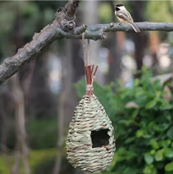 Natural Grass Bird House - Image 3