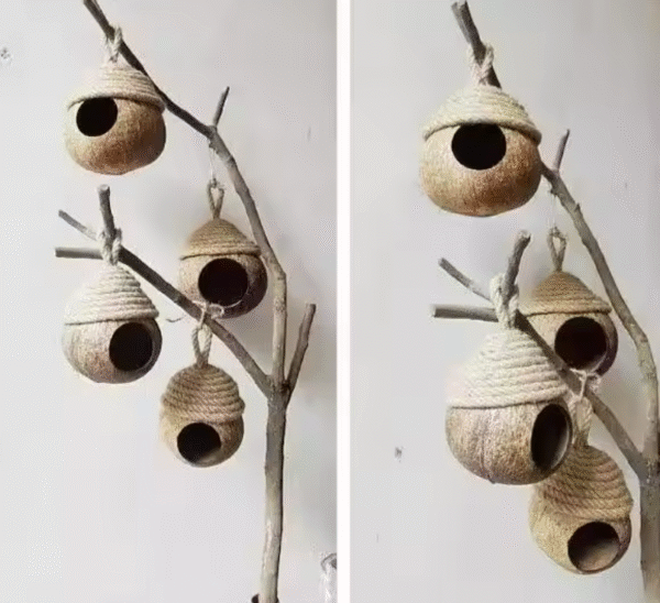 Coconut Hamster Hut - Image 2